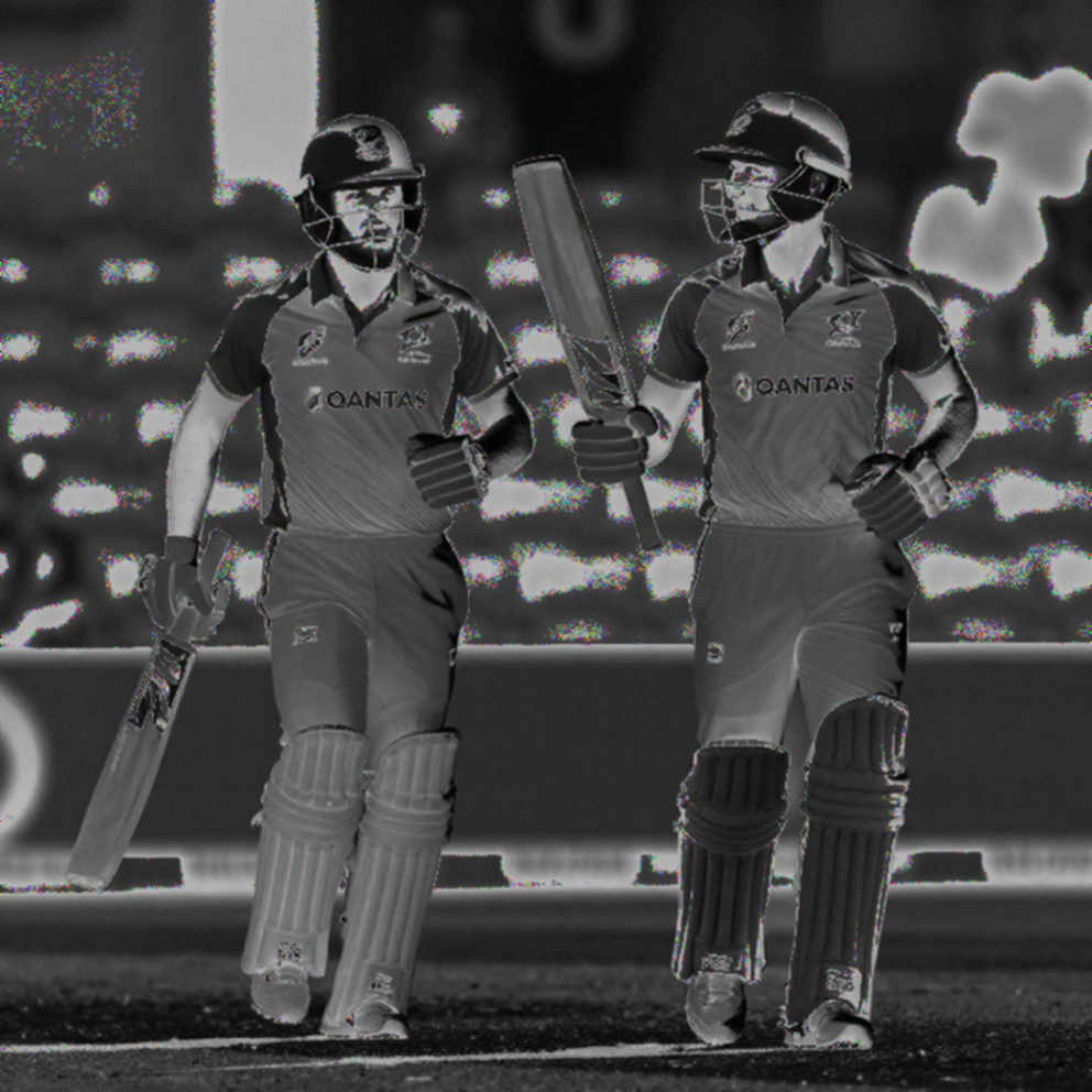 A Boy Becomes a Sentence on the Blockchain Ledger: Cricket's Digital Ownership and the Invisible Cost Book